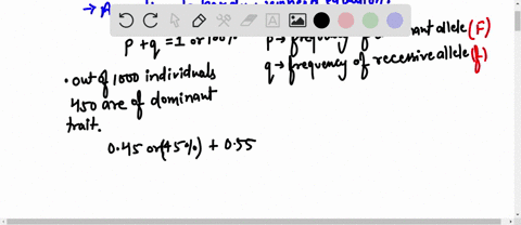 use-the-hardy-weinberg-equations-p2-2pq-q2-1-and-p-q-1-to-find-the-genotypes-of-the-following-hypothetical-phenotypic-information-a-within-a-particular-population-you-observe-that-450-indivi-46846