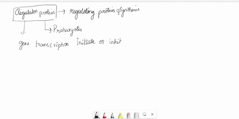 to-accomplish-regulation-in-prokaryotes-operons-segments-of-dna-include-specialized-regions-where-a-variety-of-regulatory-proteins-bind-and-detach-to-either-initiate-or-inhibit-transcription-95835