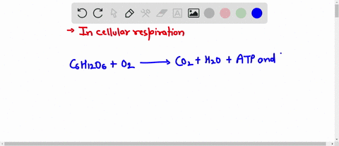 energy-that-is-released-from-glucose-during-respiration-but-not-transferred-to-atp-bonds-can-be-detected-as-a-heat-b-co2-c-adp-d-h2o-83827