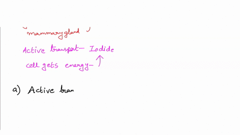 need-this-answered-immediately-please-1-in-secondary-active-transport-the-sodium-iodide-transporter-moves-iodide-into-the-thyroid-gland-from-the-blood-plasma-it-cotransports-one-i-for-every-21063