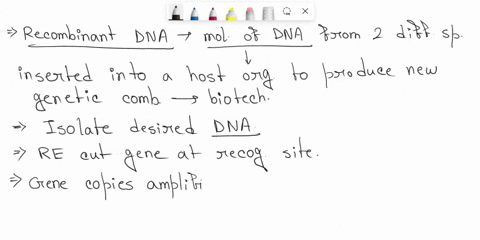 question-28-be-most-useful-ol-ihe-ollowing-would-wnkch-io-creale-recombinani-dna-when-attemntind-apollnerae-chou-resction-arercnon-t-cnryinc-thu-ceatcs-blnt-ende-4n541c-uncnpute-gd-clcctroph-51965