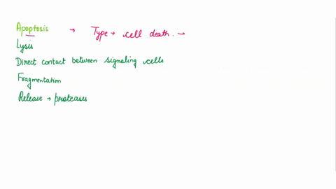 which-of-the-following-occurs-during-apoptosis-a-lysis-of-the-cell-b-direct-contact-between-signalin-36501