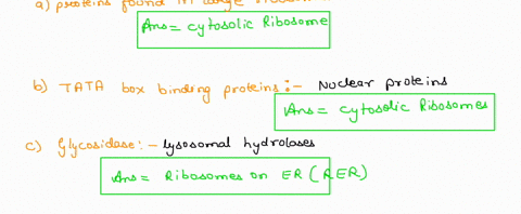 in-which-cellular-location-would-you-expect-to-find-ribosomes-translating-mrnas-that-encode-a-large-ribosomal-subunit-proteins-b-tata-box-binding-protein-c-glycosidase-d-collagen-e-transloca-39977