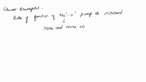 step-based-on-the-two-step-model-of-glucose-transport-what-would-happen-if-the-rate-of-function-of-the-sodium-potassium-pump-increased-the-sodium-potassium-pump-would-make-stronger-sodium-gr-45194