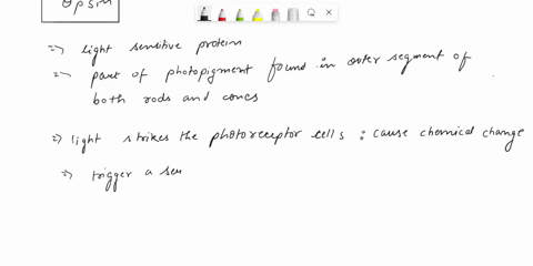please-answer-those-questions-highlighted-in-yellow-9-what-protein-in-rods-and-cones-actually-responds-to-light-10-color-vision-begins-with-activation-of-photopigments-in-the-coneswhat-are-t-99717