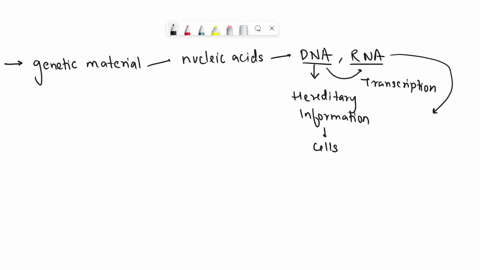 which-of-the-following-is-not-a-universal-feature-of-cells-select-one-a-the-expression-of-information-involves-rna-molecules-as-intermediates-b-the-genetic-code-is-read-as-a-triplet-of-nucle-34614