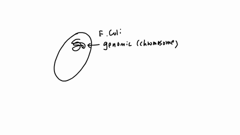 question-2-plasmids-are-extra-chromosomal-not-part-of-the-bacterial-chromosome-pieces-of-dn-found-in-bacteria-true-fatse