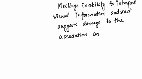 even-though-meilings-eyes-can-physically-see-a-car-driving-up-his-brain-is-unable-to-interpret-the-information-and-move-away-in-time-in-this-scenario-the-area-of-meilings-brain-that-is-most-24304