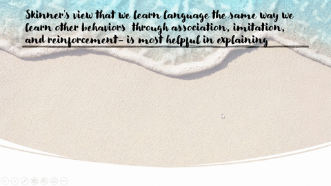 skinners-view-that-we-learn-language-the-same-way-we-learn-other-behaviors-through-association-imita-62433