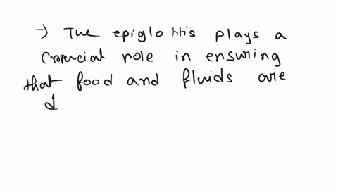 what-is-the-function-of-the-epiglottis-of-the-glottis-00696
