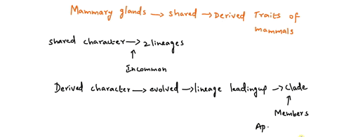 mammary-glands-are-a-shared-derived-characteristics-of-the-mammalst-or-f-21052