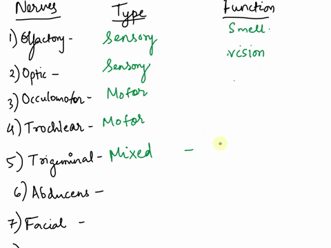 cranial-nerves-nerve-iolfactory-1ioptic-name-type-sensors-sensory-function-senseof-smeul-sense-of-ii-oculomotor-iv-trochlear-vtrigeminal-primarily-motor-raise-eyebrowsfocus-moveseyes-mixed-t-35832