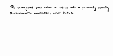 the-variegated-coat-color-found-in-calico-cats-is-caused-by-depends-on-which-of-the-following-epigenetics-genomic-imprinting-dosage-compensation-x-chromosome-inactivation-b-and-c-only-47364