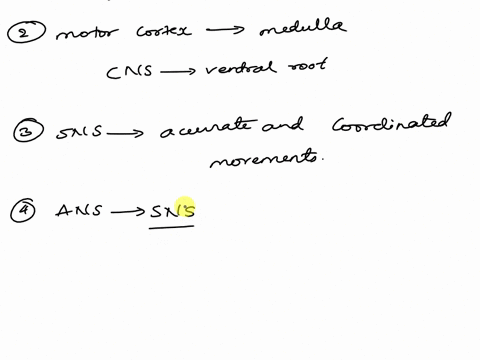 homework5motor-pathways-1-how-do-the-somatic-nervous-system-sns-and-the-autonomic-nervous-system-ans-differ-2-trace-the-somatic-motor-pathway-for-a-voluntary-flexion-of-the-right-index-finge-48507