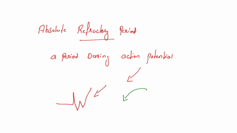 what-is-absolute-refractory-period-what-is-relative-refractory-period-11487