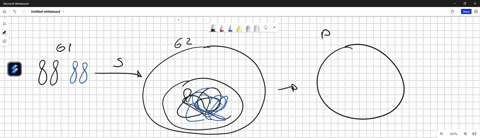 draw-the-stages-of-mitosis-start-with-two-pairs-of-homologous-chromosomes-this-is-how-many-pairs-of-chromosomes-the-somatic-cell-would-have-start-with-the-end-of-g2-then-continue-with-the-di-34805