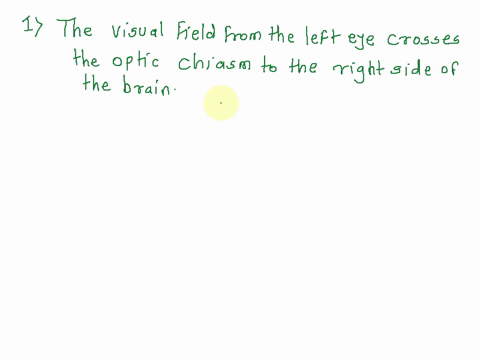 the-information-you-receive-from-each-eye-is-communicated-through-the-optic-nerve-to-the-brain-which-of-the-following-statements-correctly-describes-how-the-visual-field-is-perceived-the-vis-99573