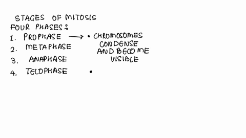 during-which-stage-of-mitosis-do-the-centrioles-move-to-the-opposite-poles-of-the-cell-48308