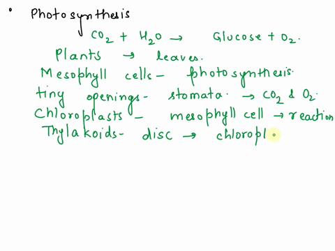 e-describe-completely-the-process-of-photosynthesis-include-the-key-processes-involved-in-the-two-main-phases-that-make-up-the-overall-reaction-where-they-occur-in-the-cell-protein-complexes-62596