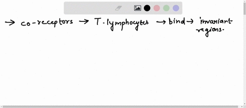 the-co-receptors-on-t-lymphocytes-that-bind-to-the-invariant-regions-of-mhc-i-or-ii-and-thus-stabilizes-binding-of-the-tcr-binding-to-the-peptidemhc-complex-includea-cd3-cd2b-cd28-cd86c-cd4-90095