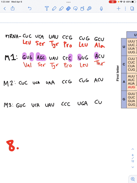 translate-the-following-mrna-sequences-and-indicate-original-sequence-cucucauauccgcuggcu-the-type-and-consequences-of-mutations-mutated-sequence-i-gugagcuaucccuugacu-mutations-mutated-sequen-28432