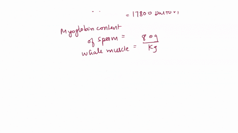 the-molecular-weight-of-sperm-whale-myoglobin-is-178-kda-the-myoglobin-content-of-sperm-whale-muscle-is-about-80-g-kg-in-contrast-the-myoglobin-content-of-some-human-muscles-is-about-8-g-kg-85393