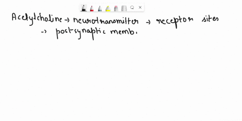 when-the-acetylcholine-receptor-sites-are-not-occupied-_____-51417