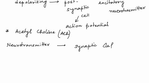 how-you-can-target-the-different-neurotransmission-steps-synthesis-storage-release-etc-to-reduce-parasympathetic-lower-neurotransmission-or-the-effect-of-the-endogenous-ligand-ach-12209