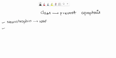 what-class-of-chemicals-prevents-apoptosis-3-13529