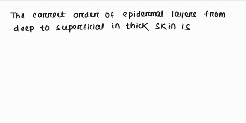 which-is-the-correct-order-of-epidermal-layers-from-deep-to-superficial-in-thick-skin-19469