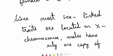 why-does-sex-linked-traits-show-up-more-often-in-males-than-females-76509