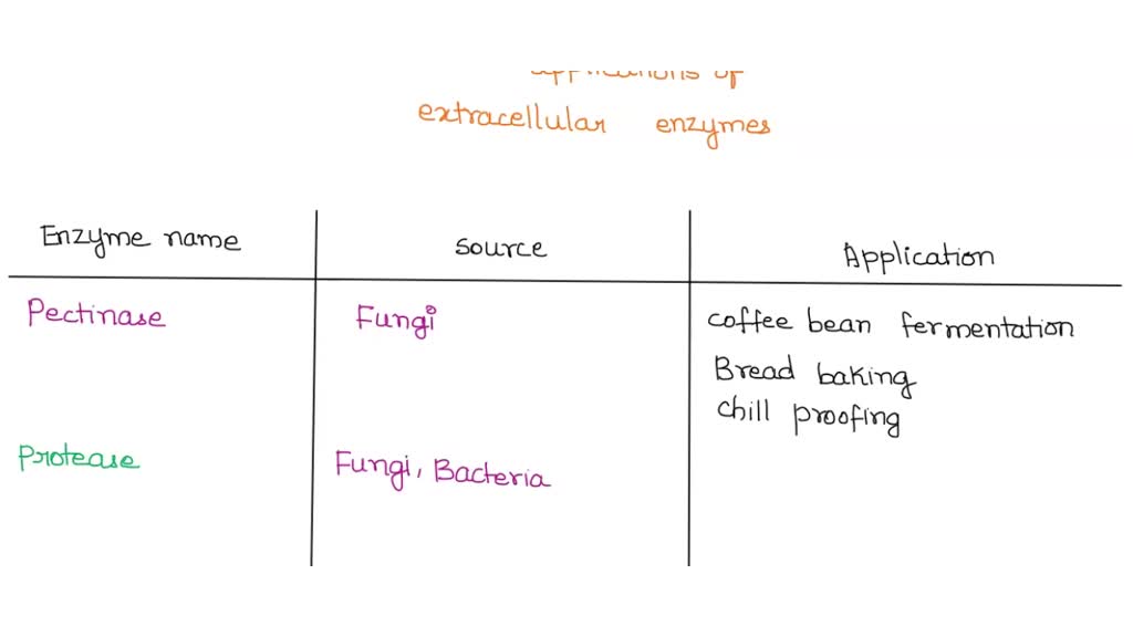 SOLVED In addition to yoghurt production, give 4 examples of