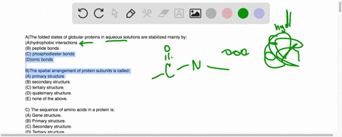 athe-folded-states-of-globular-proteins-in-aqueous-solutions-are-stabilized-mainly-by-ahydrophobic-interactions-b-peptide-bonds-c-phosphodiester-bonds-dionic-bonds-bthe-spatial-arrangement-o-51773