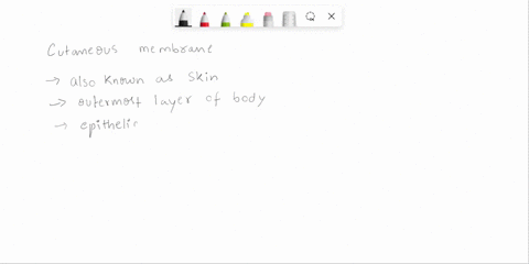 which-type-of-tissue-membrane-is-characteristically-dry-03208