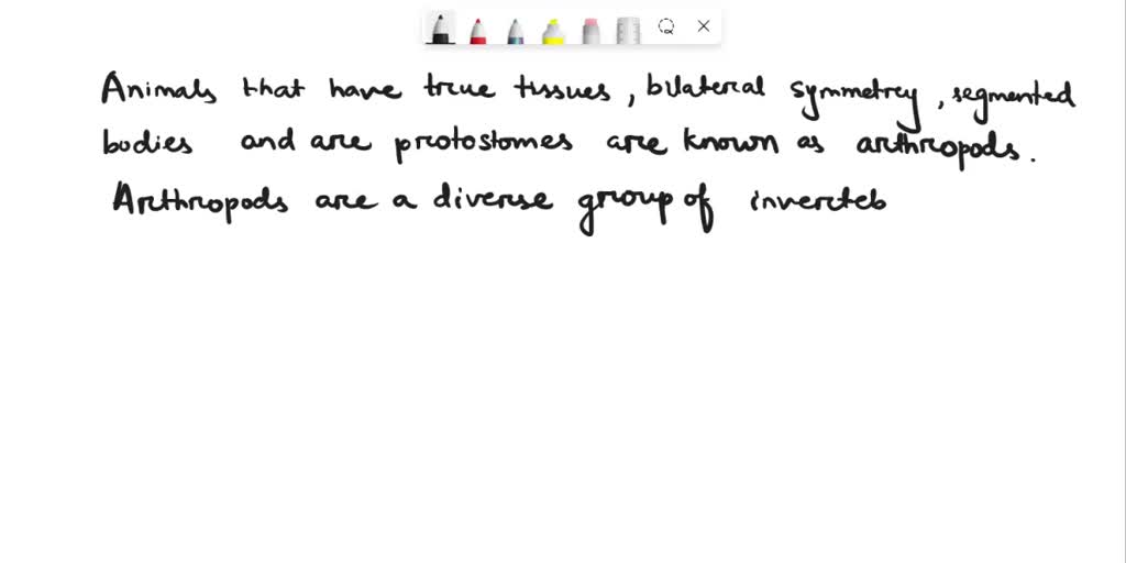 SOLVED Animals that have true tissues, bilateral symmetry, segmented