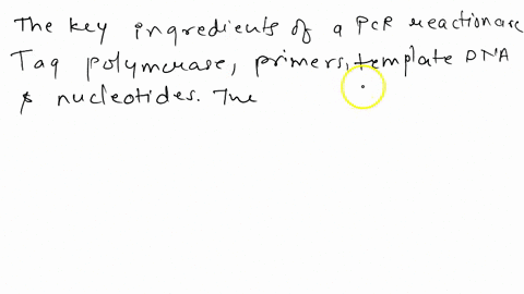 name-four-reagents-used-during-a-pcr-reaction-96446