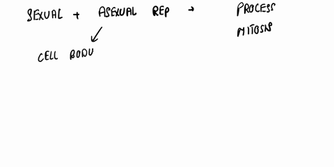 what-process-in-humans-is-a-good-representation-of-asexual-reproduction-a-meiosis-b-mitosis-cfertilization-69297
