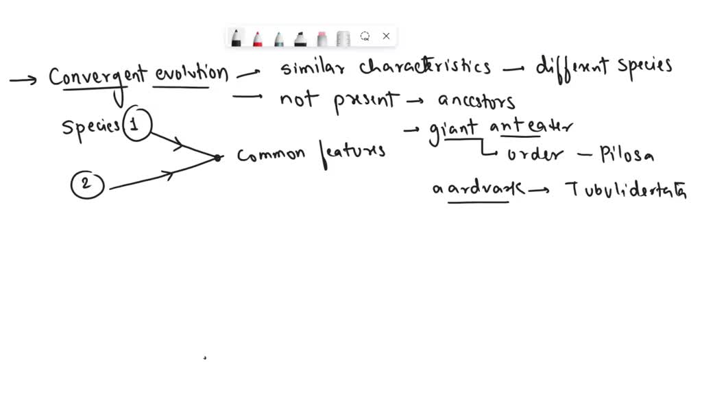 SOLVED which adjectives have been used to describe the cricket ?(poem