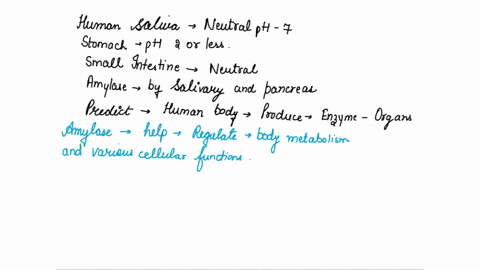 human-saliva-has-a-neutral-ph-of-7-the-stomach-has-a-ph-of-2-or-less-and-the-small-intestines-have-a-neutral-ph-of-7-in-humans-the-enzyme-amylase-is-used-to-digest-starch-in-the-foods-we-eat-18308