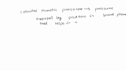 the-plasma-protein-mainly-responsible-for-maintaining-colloidal-osmotic-pressure-in-vivo-is-a-albumi-70944