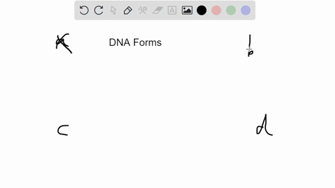 the-form-of-dna-that-contains-genes-that-are-actively-being-transcribed-is-called-a-histones-b-telom-00632