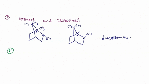 please-type-your-answer-experiment-31-an-oxidation-reduction-scheme-borneol-camphor-isoborneol-pp-248-252-experiment-31-part-b-reduction-of-camphor-to-isoborneol-pp-254-255-experiment-31-par-86292