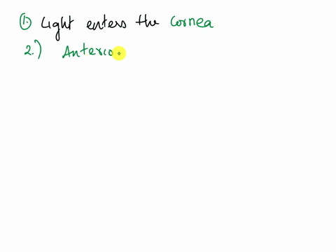 place-the-following-structures-in-the-correct-sequence-light-would-hit-them-as-light-enters-the-eye-posterior-chamber-retina-lens-cornea-anterior-chamber-posterior-cavity-pupil-30583