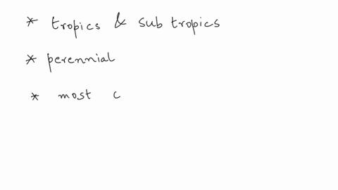 can-someone-explain-how-biodiverse-bananas-are-14144