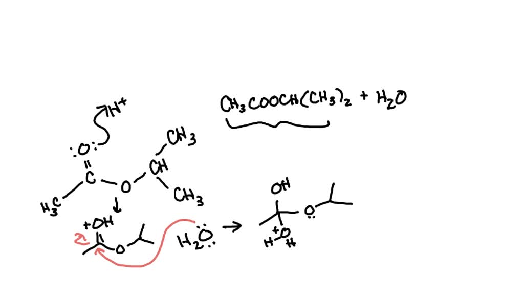 SOLVED: Question: Write the products of the acid hydrolysis of the ...