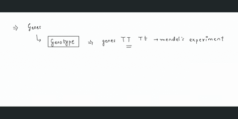 refers-to-the-genes-alleles-of-the-individual-iols13-allele-locus-genotype-phenotype-78664