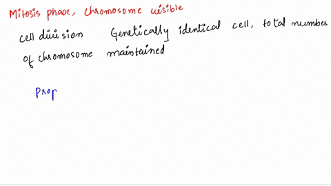 the-individual-chromosomes-become-visible-with-a-light-microscope-during-which-stage-of-mitosis-a-pr-22762