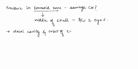 question11-a-fracture-of-the-ethmoid-bone-could-result-in-damage-to-which-cranial-nerve-o-olfactory-o-accessory-o-vagus-oglossopharyngeal-13538