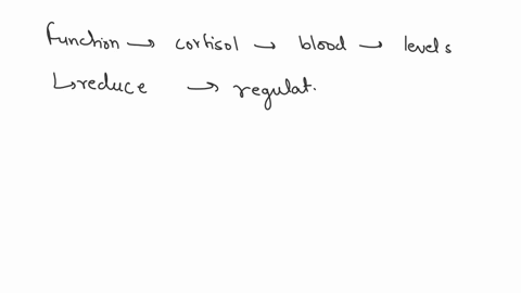 what-are-the-main-functions-of-cortisol-and-how-does-its-level-change-with-exercise-of-low-or-high-intensity-73099
