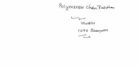 when-you-have-completed-your-pcr-you-will-be-visualizing-the-fragments-on-an-agarose-gel-you-should-obtain-many-copies-of-a-single-fragment-of-approximately-1000-base-pairs-instead-you-find-92468